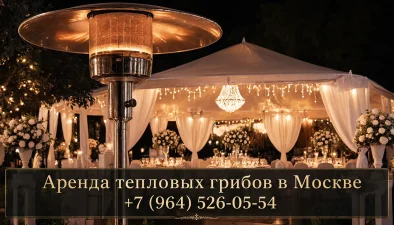 Аренда тепловых грибов в Москве